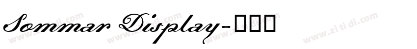 Sommar Display字体转换